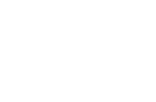 Consultor Bruno Cesar